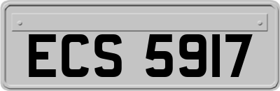 ECS5917