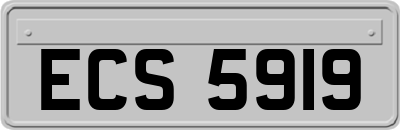 ECS5919