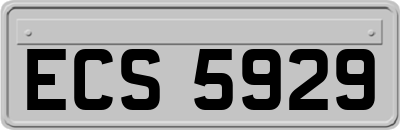 ECS5929