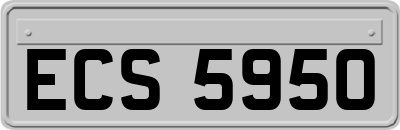 ECS5950