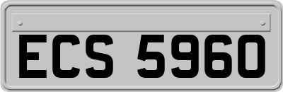 ECS5960