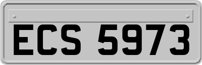 ECS5973