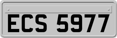 ECS5977