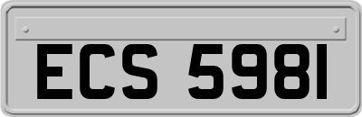ECS5981