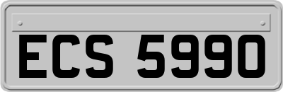 ECS5990
