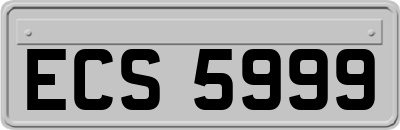 ECS5999