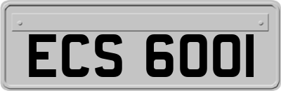 ECS6001