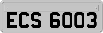 ECS6003