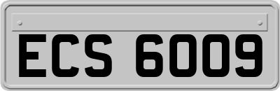 ECS6009
