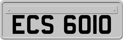 ECS6010