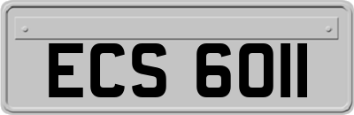 ECS6011