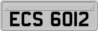 ECS6012