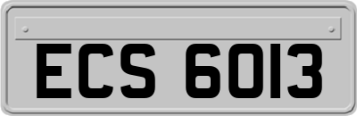 ECS6013