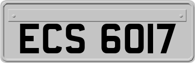 ECS6017