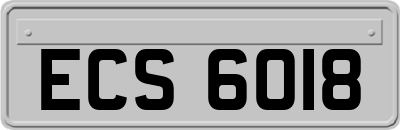 ECS6018