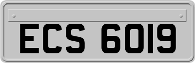 ECS6019