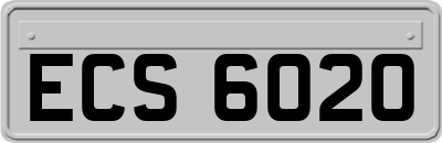 ECS6020