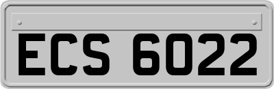 ECS6022