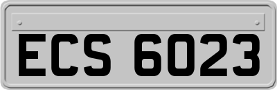 ECS6023