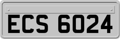 ECS6024