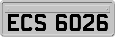 ECS6026