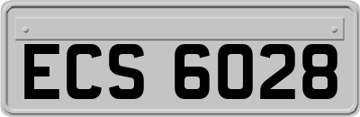 ECS6028