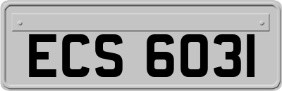 ECS6031