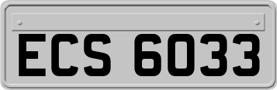 ECS6033