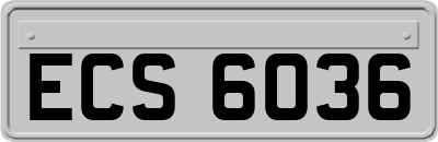 ECS6036