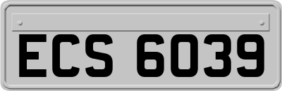 ECS6039