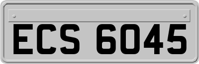 ECS6045