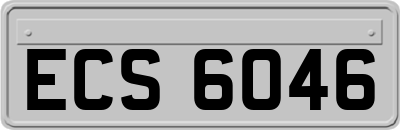 ECS6046