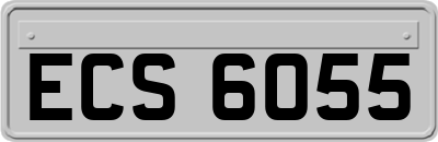 ECS6055