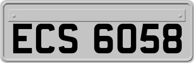 ECS6058