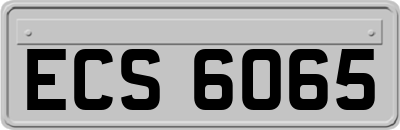 ECS6065