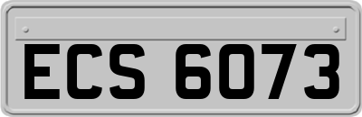 ECS6073