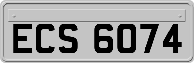 ECS6074