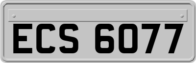 ECS6077