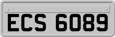 ECS6089