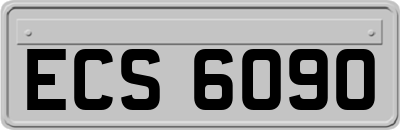 ECS6090