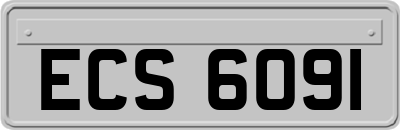 ECS6091