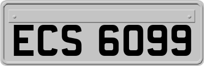 ECS6099