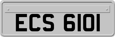 ECS6101