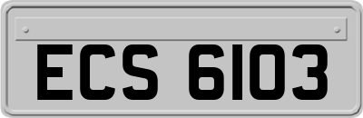ECS6103