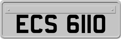 ECS6110