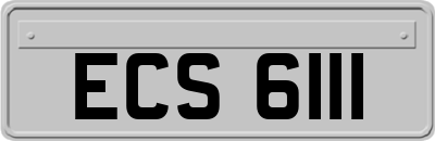 ECS6111