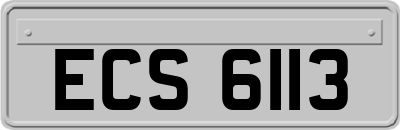 ECS6113