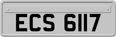 ECS6117