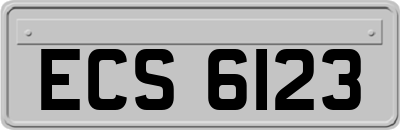 ECS6123