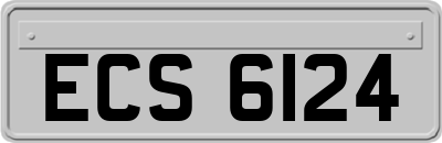 ECS6124